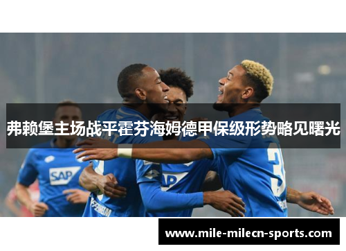 弗赖堡主场战平霍芬海姆德甲保级形势略见曙光